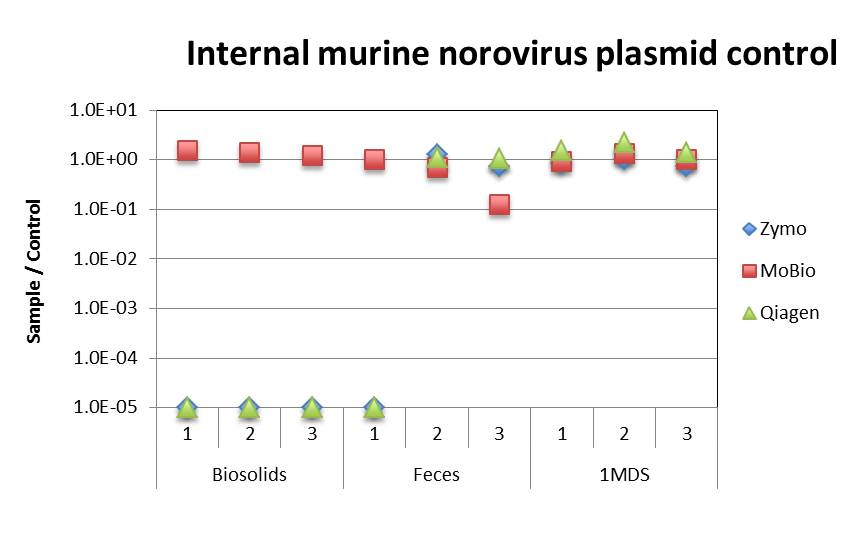Internal murin norovirus plasmid control